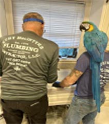 plumbing